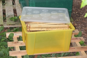 Transportkiste für Honigwaben
